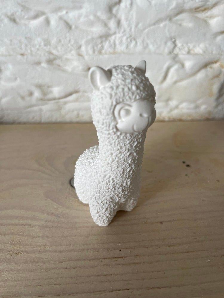 Alpaca van gips, Info@kinderworkshops-petra-dongen.nl, Nieuw, Kinderworkshops Petra, P. Gillisstraat