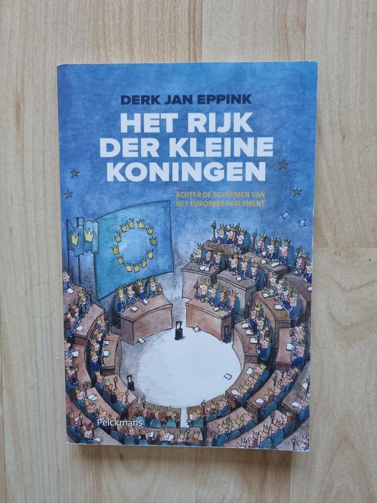 Derk Jan Eppink - Het rijk der kleine koningen, Gelezen, Derk Jan Eppink, Ophalen of Verzenden, Nederland