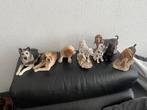 Partij honden beeldjes - diverse rassen, Ophalen, Gebruikt, Hond of Kat, Beeldje of Figuurtje