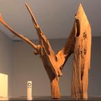 Uniek stuk Kienhout / Driftwood / Spiderwood, Hout Decoratie, Ophalen of Verzenden, Zo goed als nieuw, Plant(en), Steen of Hout