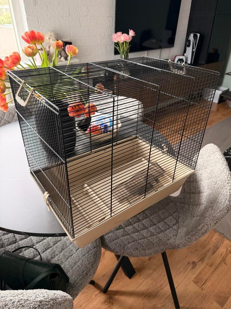 Dwerghamster kooi, Dieren en Toebehoren, Kooi, Gebruikt, Minder dan 75 cm, Hamster