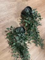 Set van 2 kunstplanten in pot, Ophalen, Zo goed als nieuw, Binnen
