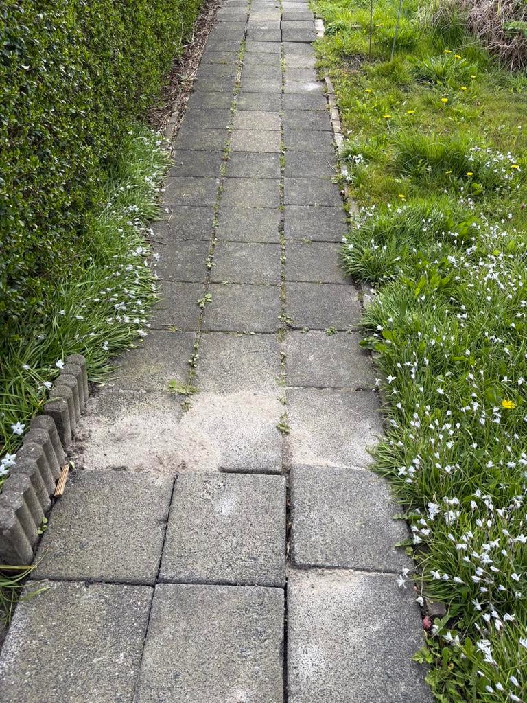 GRATIS Tegels 30x30, Ophalen, Zo goed als nieuw, Beton, Terrastegels