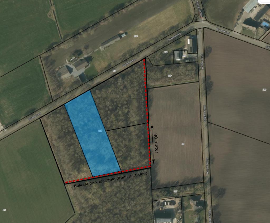 bosgrond te koop Asten - vlakbij Eindhoven, Eindhoven, 1500 m² of meer