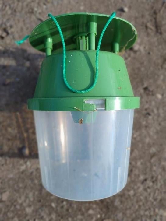 Buxusmottenval - Effectieve Bestrijding (2 stuks), Tuin en Terras, Bestrijdingsmiddelen, Ophalen of Verzenden, Nieuw, Ongediertebestrijding