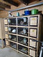 Konijnenflat, Ophalen, Minder dan 75 cm, Kooi, Minder dan 60 cm