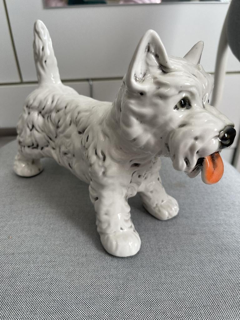 Neundorf West Highland White Terrier, Ophalen of Verzenden, Zo goed als nieuw, Dier
