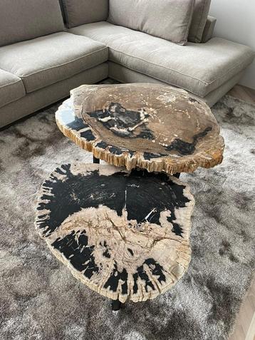 Versteend hout Salontafels - Unieke salontafels! beschikbaar voor biedingen