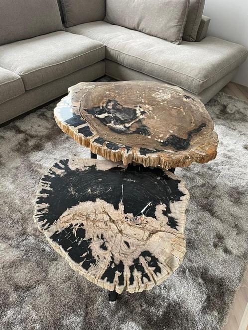 Versteend hout Salontafels - Unieke salontafels!, Huis en Inrichting, Tafels | Salontafels, Nieuw, 50 tot 100 cm, Rond, Ophalen