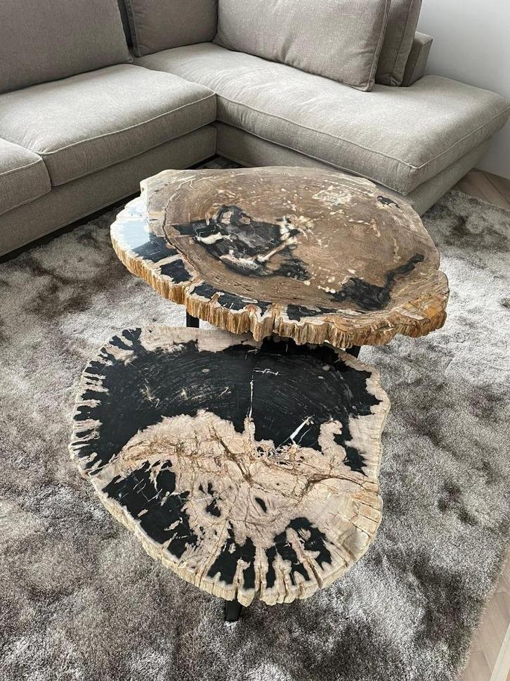 Versteend hout Salontafels - Unieke salontafels!, Huis en Inrichting, Tafels | Salontafels, Nieuw, 50 tot 100 cm, Rond, Ophalen