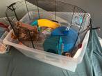 Hamster kooi, Dieren en Toebehoren, 110 cm of meer, Nieuw, Ophalen of Verzenden, 90 cm of meer