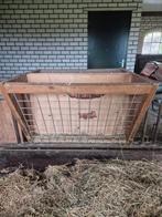 Hooiruif schaap, geit, Meerdere dieren, Schaap