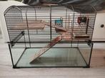 Glazen Hamster kooi, Kooi, Gebruikt, Minder dan 75 cm, Hamster
