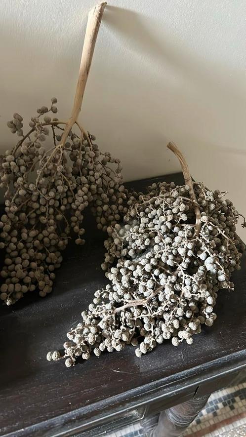 Twee gedroogde druiventakken, Huis en Inrichting, Woonaccessoires | Wanddecoraties, Gebruikt, Ophalen of Verzenden