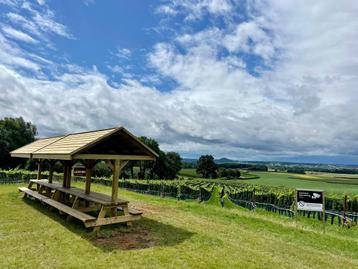 Tuintafel met afdak Picknicktafel met overkapping  beschikbaar voor biedingen