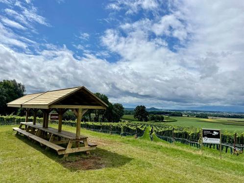 Tuintafel met afdak Picknicktafel met overkapping, Tuin en Terras, Picknicktafels, Nieuw, Vierkant, Hout, Ophalen of Verzenden