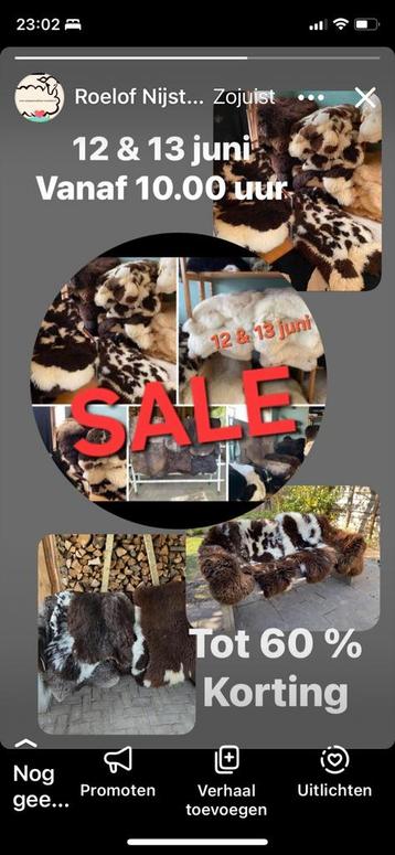 Super sale schapenvachten.  beschikbaar voor biedingen