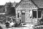 978823 Overberg Utr 1954 Bungalow Vakantiehuisje, Verzamelen, Ansichtkaarten | Nederland, Ophalen of Verzenden, 1940 tot 1960