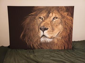 Canvas van leeuwenkop beschikbaar voor biedingen