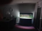 Juwel Vision 450 aquarium, Ophalen, Gebruikt, Leeg aquarium
