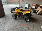 Eton Viper 70 Quad, 1 cilinder, 11 kW of minder