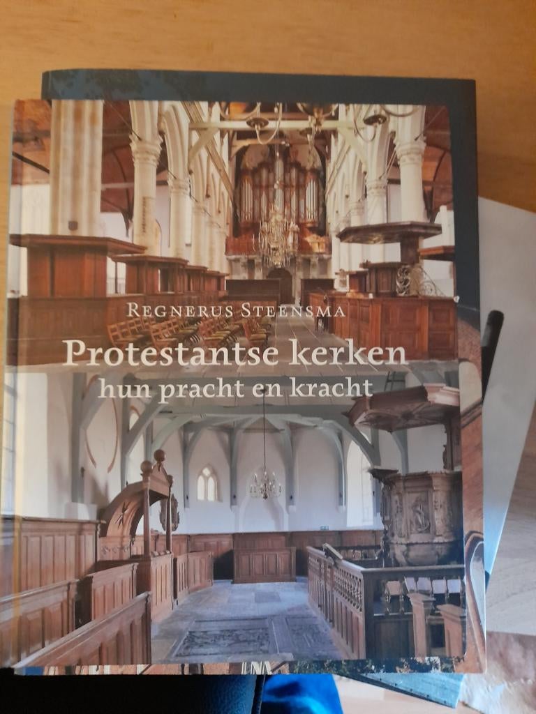 Regnerus Steensma - Protestantse kerken, Architecten, Ophalen of Verzenden, Zo goed als nieuw, Regnerus Steensma