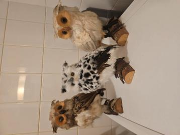 3 mooie uilen,nieuw. 2 uilen 30 cm. 1 uilen 26 cm beschikbaar voor biedingen