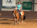 4 jarige D pony, Dieren en Toebehoren, Ruin, Dressuurpony, Niet van toepassing, 3 tot 6 jaar