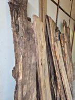 Haagbeuk Schaaldelen, Doe-het-zelf en Verbouw, Hout en Planken, Ophalen, 25 tot 50 mm, Nieuw, Plank