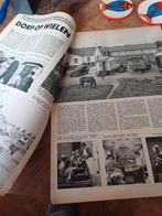 Artikel over woonwagens Maastricht 1955, Verzamelen, Ophalen of Verzenden