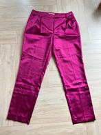 Roze glimmende pantalon van Sissy Boy maat M, Maat 38/40 (M), Sissy-Boy, Ophalen of Verzenden, Zo goed als nieuw