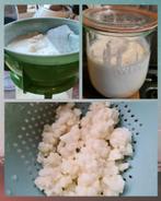 Nieuwe voorraad!! romige kefir korrels probiotica, Diversen, Levensmiddelen, Ophalen