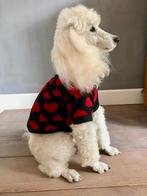 Handmade Hondentrui Chihuahua Kees Pomeriaan Pup, Dieren en Toebehoren, Ophalen of Verzenden, Nieuw, Hondentrui