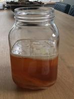Scoby zwammen, Diversen, Levensmiddelen, Ophalen