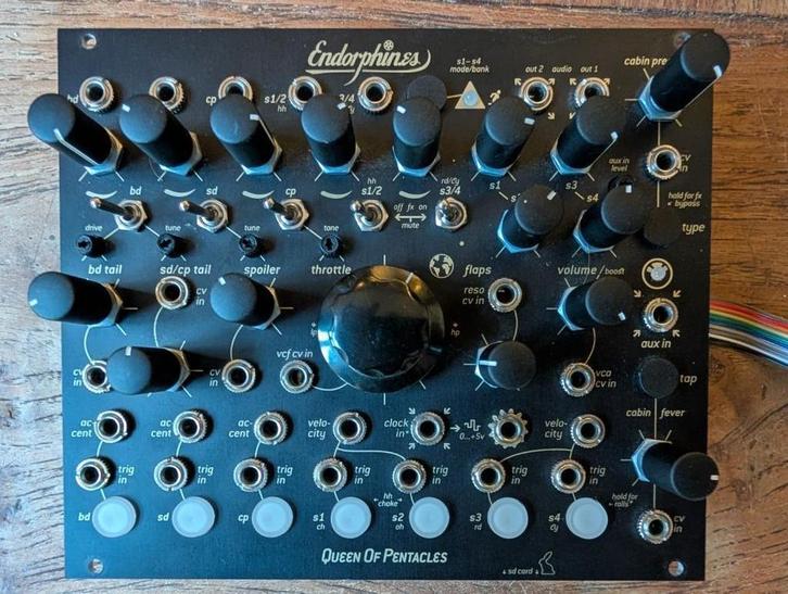 Endorphines - Queen of Pentacles - Eurorack Module, Muziek en Instrumenten, Synthesizers, Zo goed als nieuw, Overige aantallen