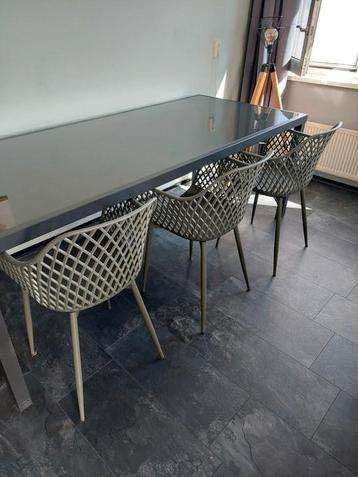 Eettafel tuintafel glazen tafel 210cmx90cmx76cm beschikbaar voor biedingen