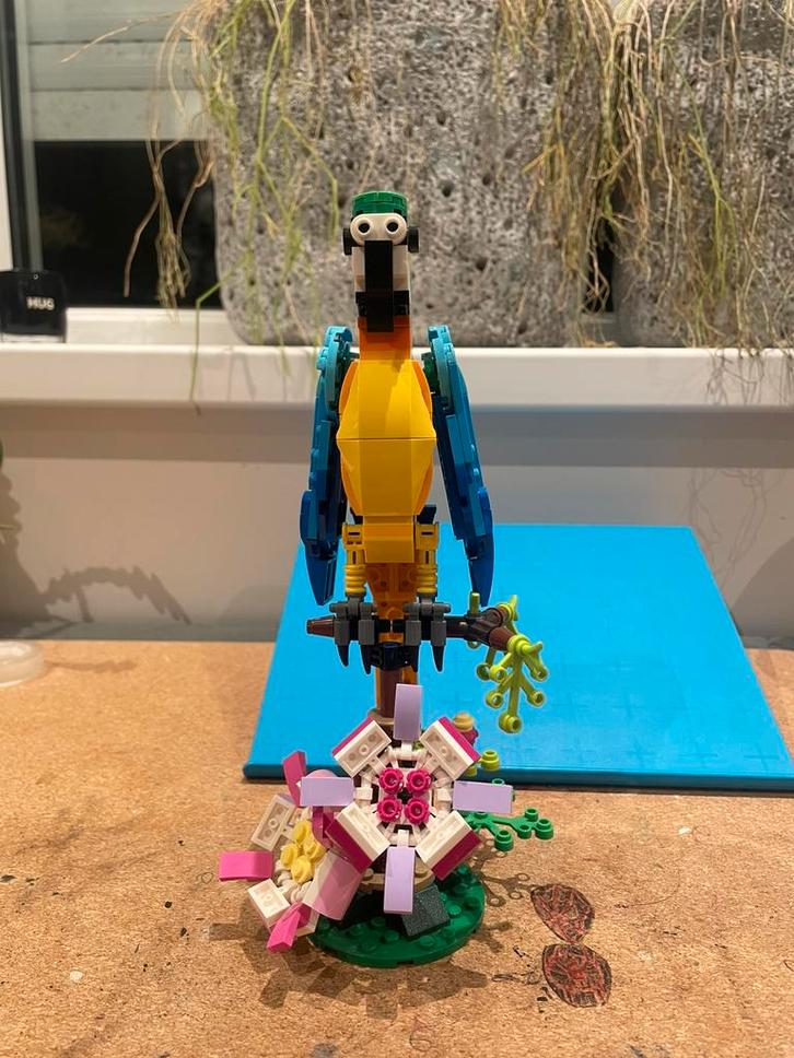 LEGO Creator 3-in-1 set 31136 – Papegaai, Kinderen en Baby's, Speelgoed | Duplo en Lego, Zo goed als nieuw, Ophalen