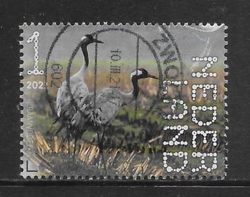 2021, Dwingelderveld, Kraanvogel [3904] (K0731) beschikbaar voor biedingen