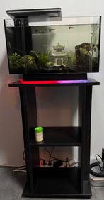 Aquarium quadro 40 Multi colour zwart, Dieren en Toebehoren, Vissen | Aquaria en Toebehoren, Ophalen, Zo goed als nieuw, Gevuld zoetwateraquarium