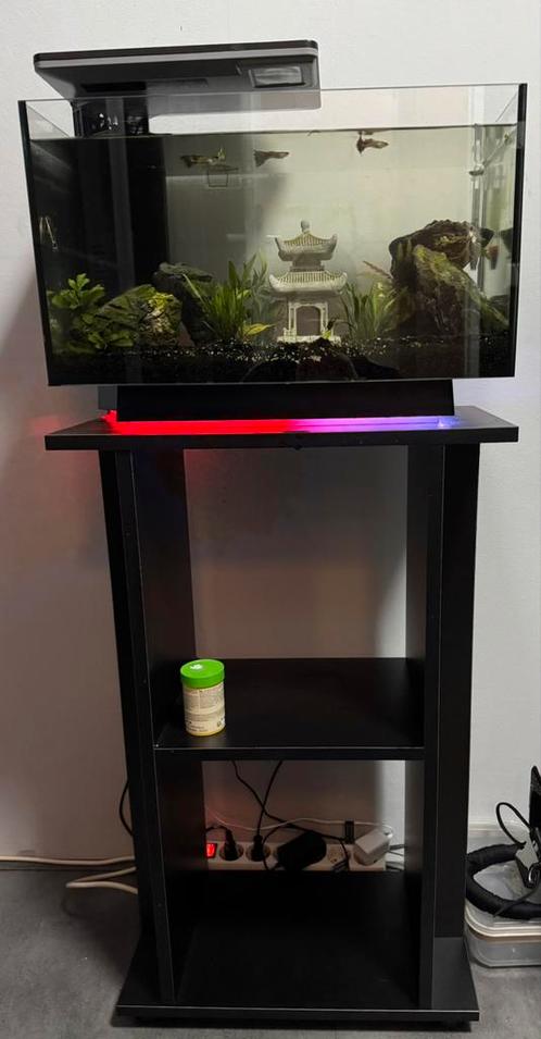 Aquarium quadro 40 Multi colour zwart, Dieren en Toebehoren, Vissen | Aquaria en Toebehoren, Zo goed als nieuw, Gevuld zoetwateraquarium