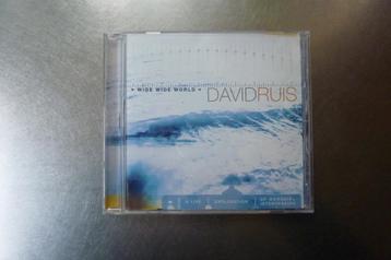 David Ruis - Wide Wide World beschikbaar voor biedingen