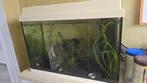 Aquarium b60xh40xd30 incl vissen, Dieren en Toebehoren, Vissen | Aquaria en Toebehoren, Ophalen, Gebruikt, Gevuld zoetwateraquarium
