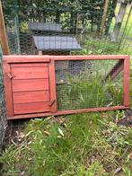 Konijnen/cavia/kuikentjes hokje, 110 cm of meer, Zo goed als nieuw, Cavia, Ophalen