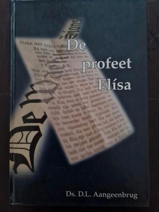 D.L. Aangeenbrug - De profeet Elía en de profeet Elisa, Boeken, Godsdienst en Theologie, Gelezen, Ophalen of Verzenden