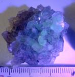 3 kleine clusters fluoriet kristallen, Ophalen of Verzenden, Mineraal