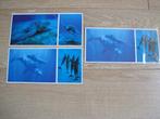 Mooie nieuwe set van 6 panorama ansichtkaarten Greenpeace, Ophalen of Verzenden, 1980 tot heden, Waterdier