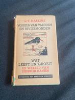 G. F. Makkink - Vogels van Wadden en Riviermonden (1944), Antiek en Kunst, Ophalen of Verzenden