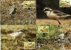 st helena 1993 set wwf maxicards vogels birds, Postzegels en Munten, Ophalen of Verzenden, Postfris, Dier of Natuur