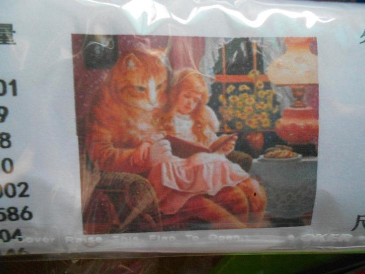 Diamond painting 50 x 62 cm. poes met meisje lezen boekje, Hobby en Vrije tijd, Knutselen, Nieuw, Knutselwerk, Ophalen