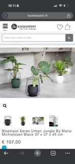 Bloempot 45 cm met evt monsters plant, Ophalen, Halfschaduw, Minder dan 100 cm